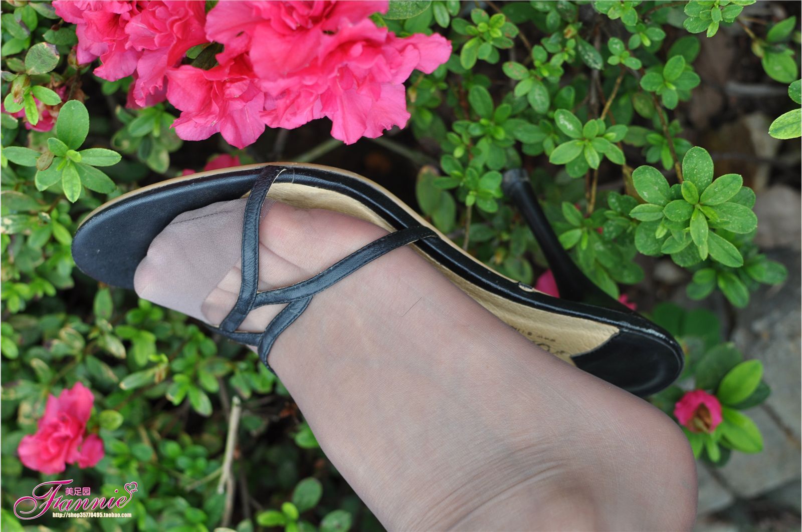 心绪盈秋。灰丝 芬妮高清丝足